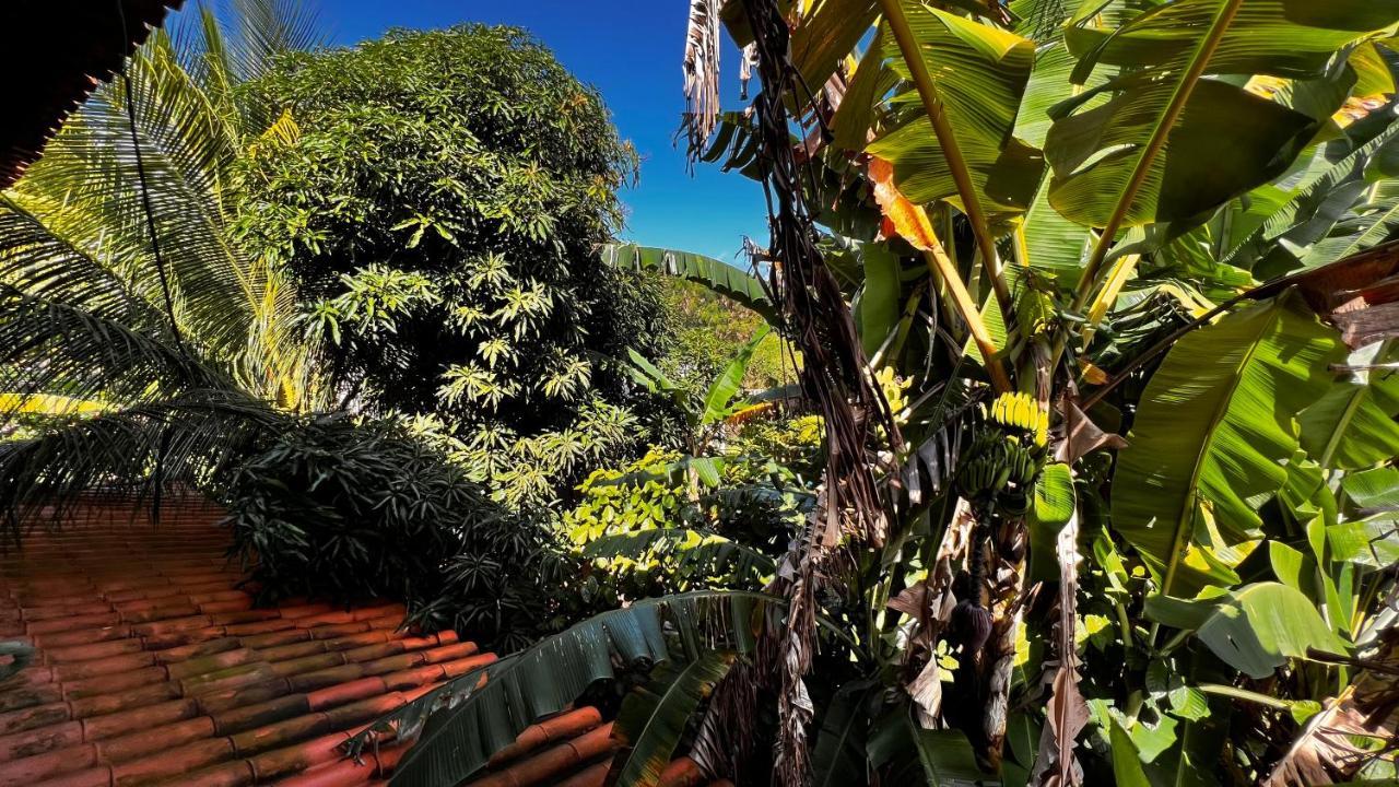 فندق Pura Vida Surf House بارا غراندي المظهر الخارجي الصورة